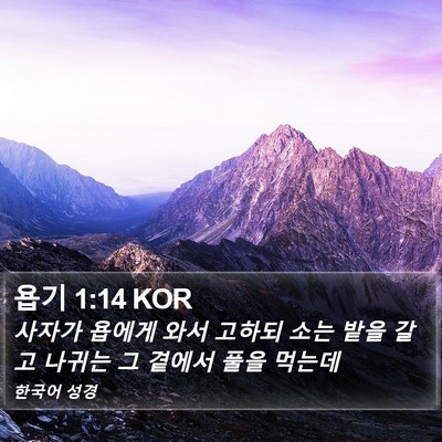 욥기 1:14 KOR Bible Verse Image