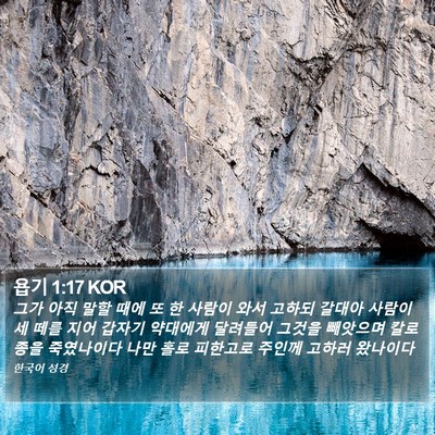 욥기 1:17 KOR Bible Verse Image