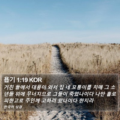 욥기 1:19 KOR Bible Verse Image