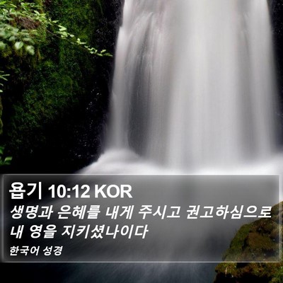 욥기 10:12 KOR Bible Verse Image