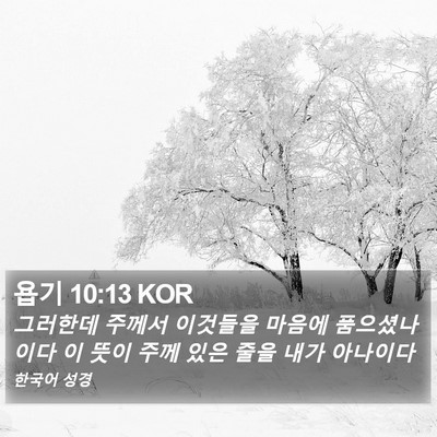 욥기 10:13 KOR Bible Verse Image