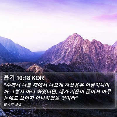 욥기 10:18 KOR Bible Verse Image