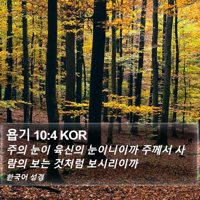 욥기 10:4 KOR Bible Verse Image