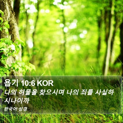 욥기 10:6 KOR Bible Verse Image