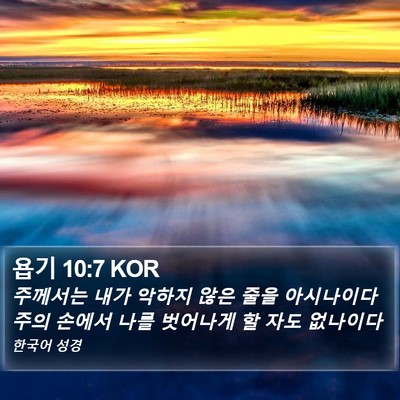 욥기 10:7 KOR Bible Verse Image