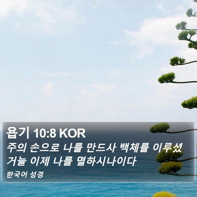 욥기 10:8 KOR Bible Verse Image