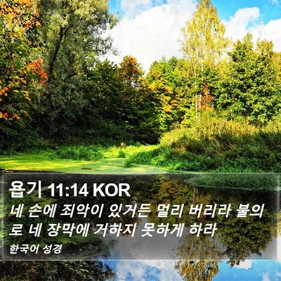 욥기 11:14 KOR Bible Verse Image