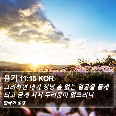 욥기 11:15 KOR Bible Verse Image