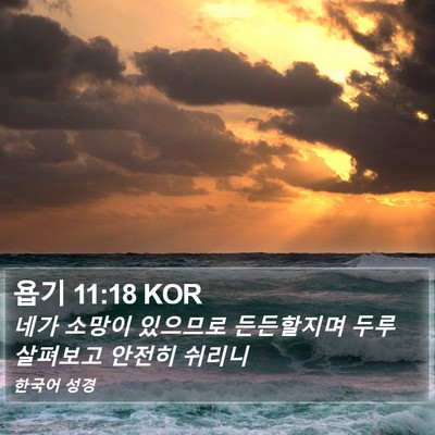 욥기 11:18 KOR Bible Verse Image