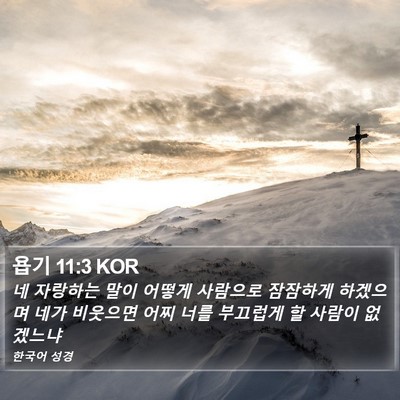 욥기 11:3 KOR Bible Verse Image