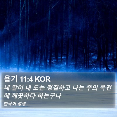 욥기 11:4 KOR Bible Verse Image