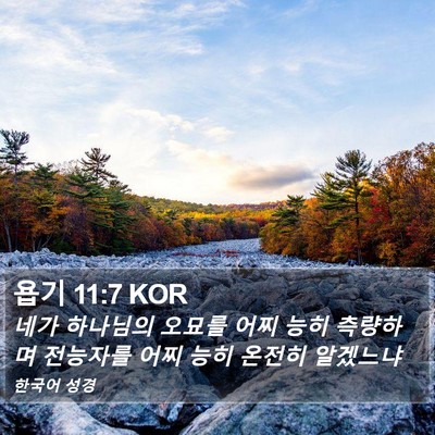 욥기 11:7 KOR Bible Verse Image