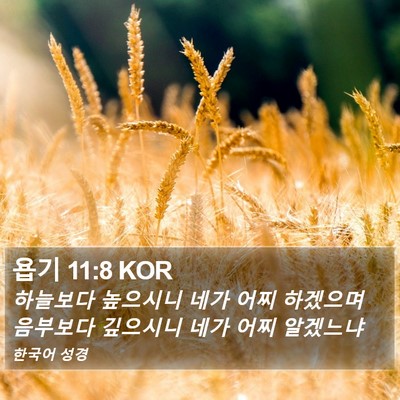 욥기 11:8 KOR Bible Verse Image