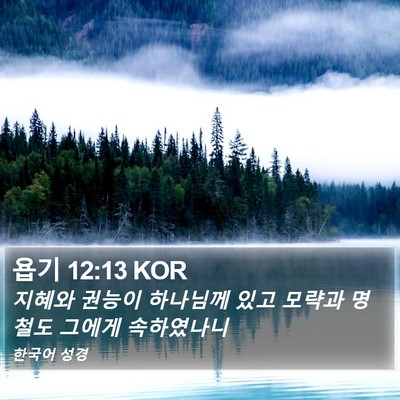 욥기 12:13 KOR Bible Verse Image