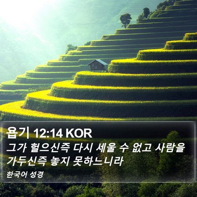 욥기 12:14 KOR Bible Verse Image
