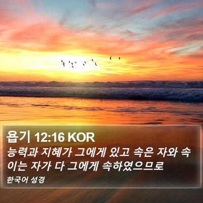 욥기 12:16 KOR Bible Verse Image