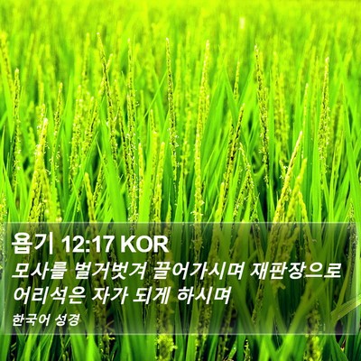 욥기 12:17 KOR Bible Verse Image
