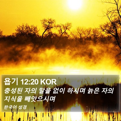욥기 12:20 KOR Bible Verse Image