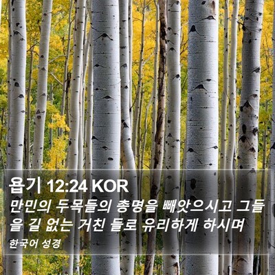 욥기 12:24 KOR Bible Verse Image
