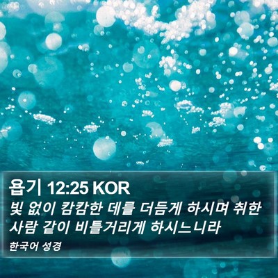 욥기 12:25 KOR Bible Verse Image