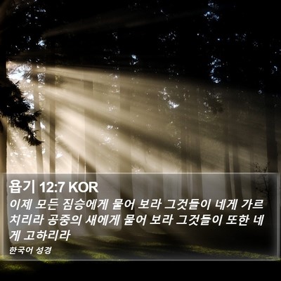 욥기 12:7 KOR Bible Verse Image
