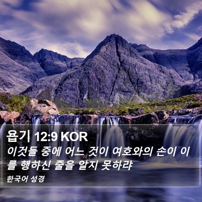 욥기 12:9 KOR Bible Verse Image