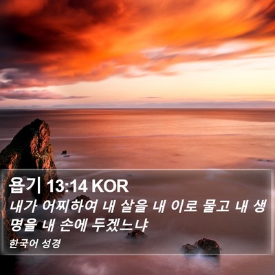 욥기 13:14 KOR Bible Verse Image