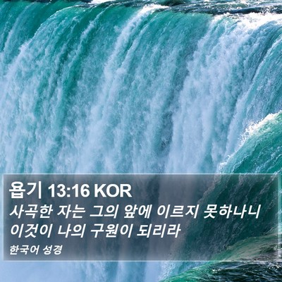 욥기 13:16 KOR Bible Verse Image
