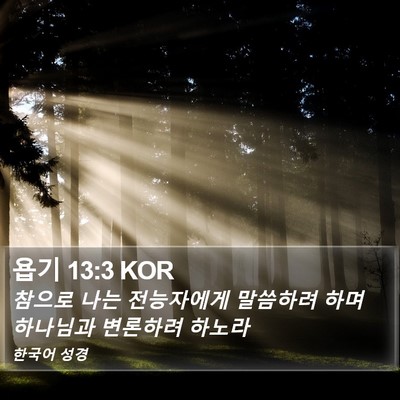 욥기 13:3 KOR Bible Verse Image