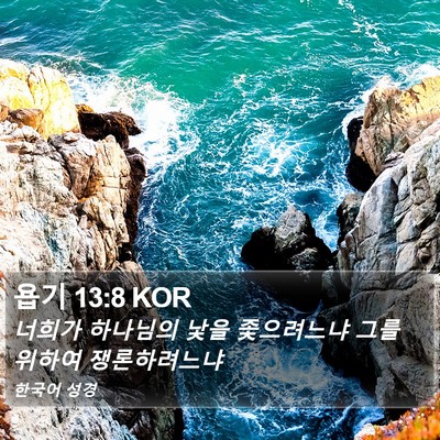 욥기 13:8 KOR Bible Verse Image