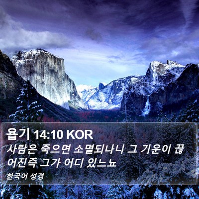 욥기 14:10 KOR Bible Verse Image