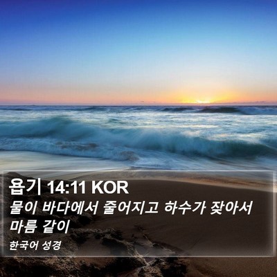 욥기 14:11 KOR Bible Verse Image