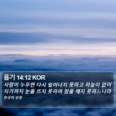욥기 14:12 KOR Bible Verse Image
