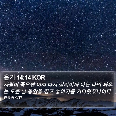 욥기 14:14 KOR Bible Verse Image