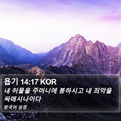 욥기 14:17 KOR Bible Verse Image