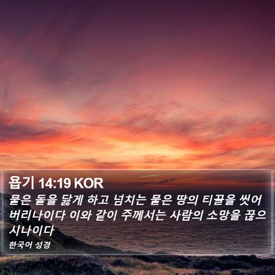 욥기 14:19 KOR Bible Verse Image