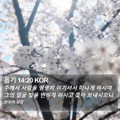 욥기 14:20 KOR Bible Verse Image