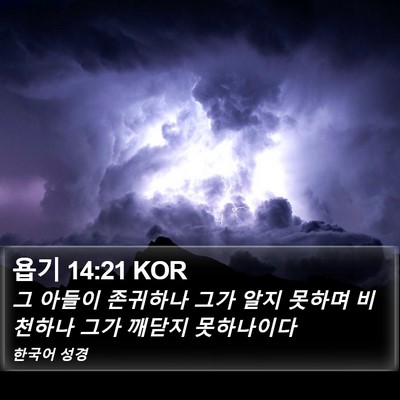 욥기 14:21 KOR Bible Verse Image