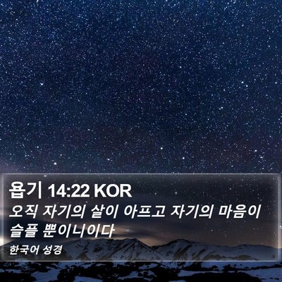 욥기 14:22 KOR Bible Verse Image