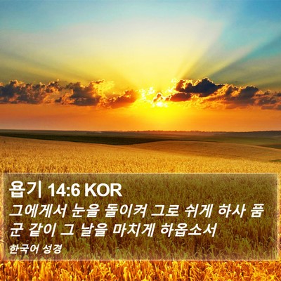 욥기 14:6 KOR Bible Verse Image