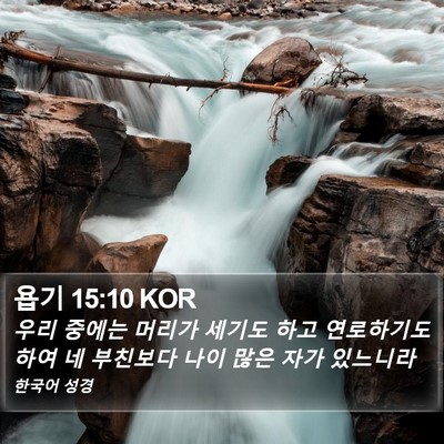 욥기 15:10 KOR Bible Verse Image