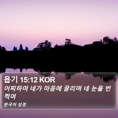 욥기 15:12 KOR Bible Verse Image