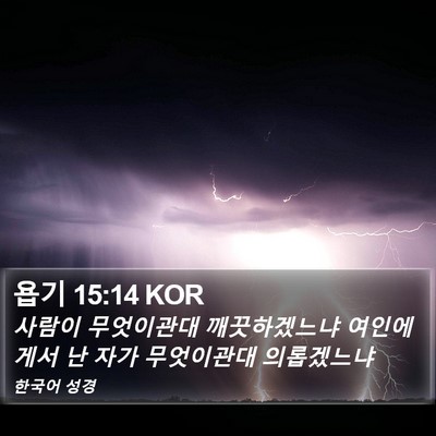 욥기 15:14 KOR Bible Verse Image