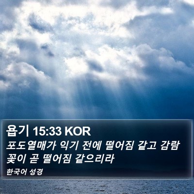 욥기 15:33 KOR Bible Verse Image