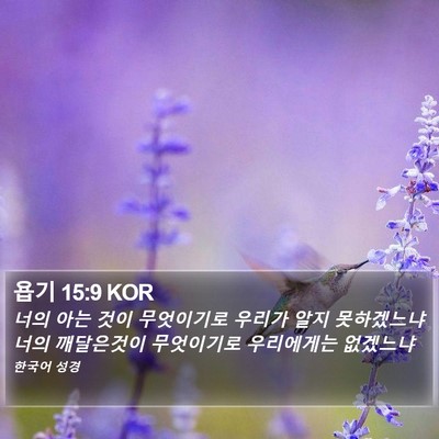 욥기 15:9 KOR Bible Verse Image