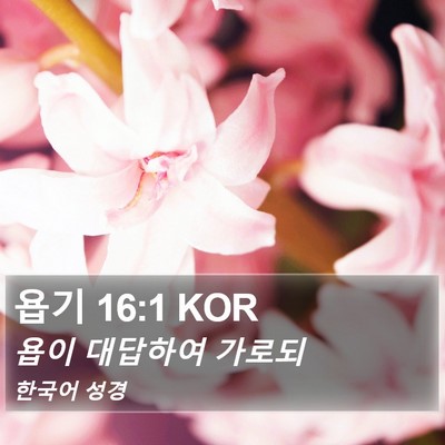 욥기 16:1 KOR Bible Verse Image