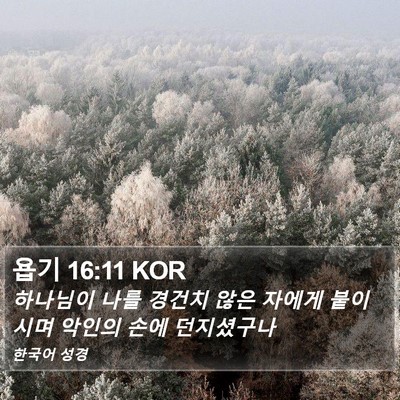 욥기 16:11 KOR Bible Verse Image