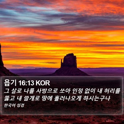 욥기 16:13 KOR Bible Verse Image