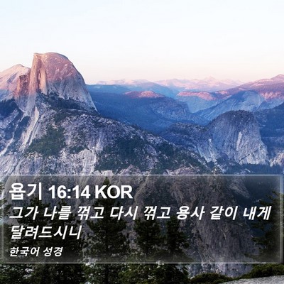욥기 16:14 KOR Bible Verse Image