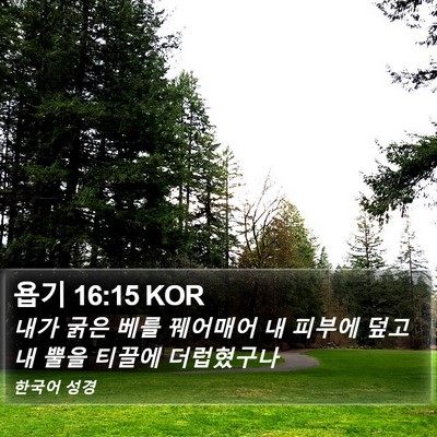 욥기 16:15 KOR Bible Verse Image